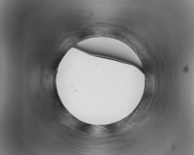 X0000116370333201001131753