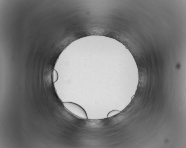 X0000116370334201001131753