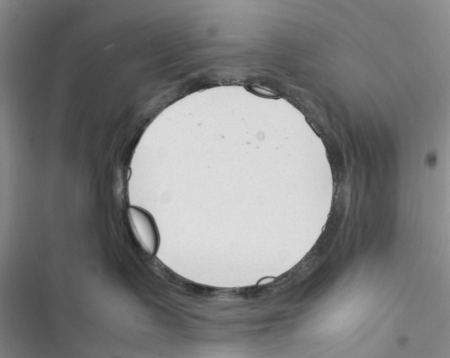 X0000116370335201001131753