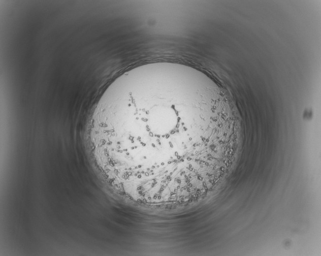 X0000116370336201001131753