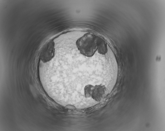 X0000116370337201001131752