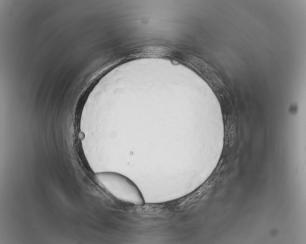 X0000116370338201001131752