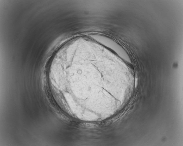 X0000116370339201001131752