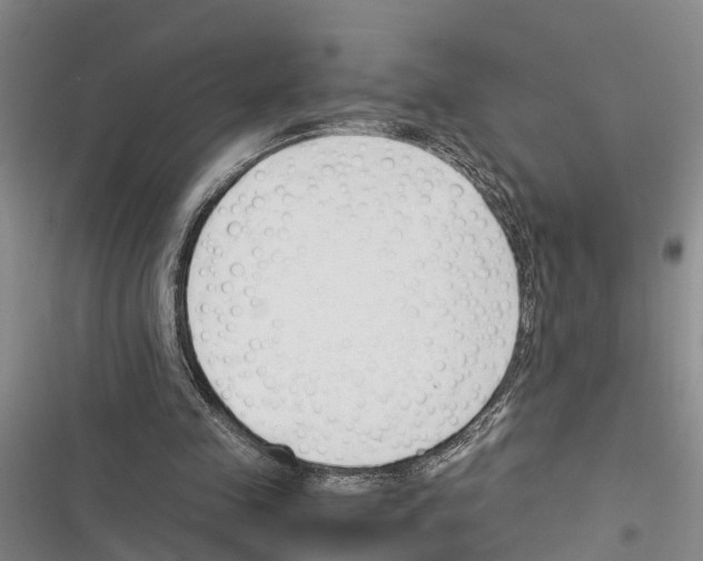 X0000116370341201001131752