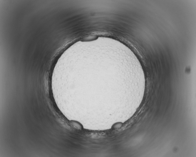 X0000116370345201001131752