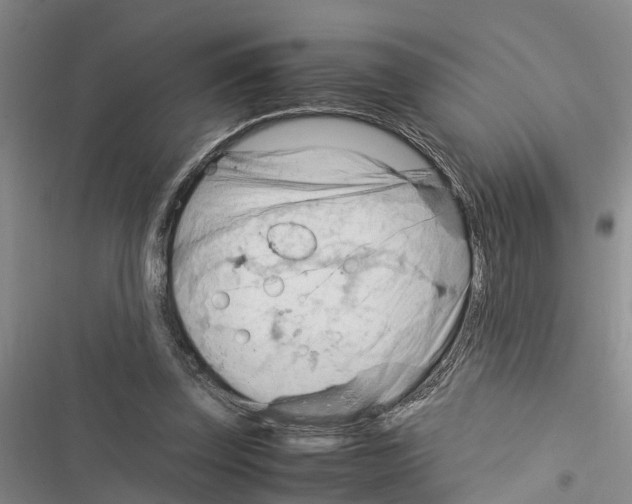 X0000116370347201001131752