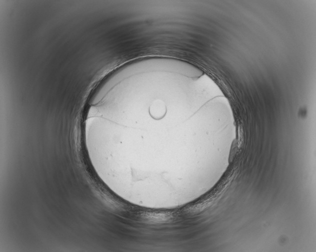 X0000116370349201001131752