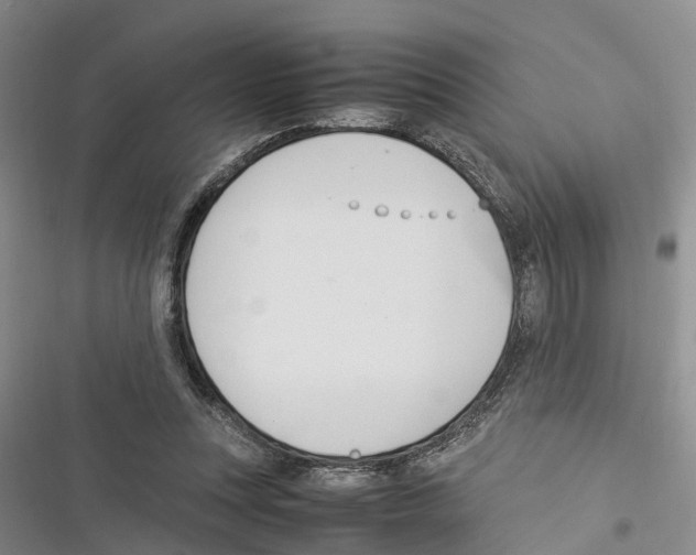 X0000116370351201001131752