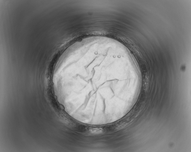 X0000116370355201001131752