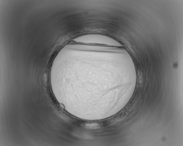 X0000116370357201001131752