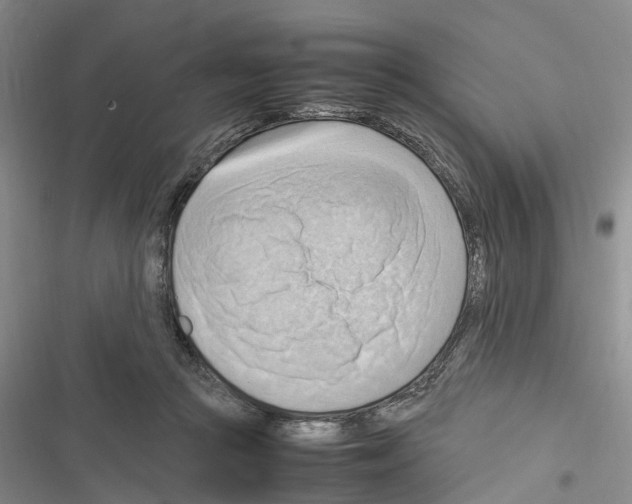 X0000116370361201001131752