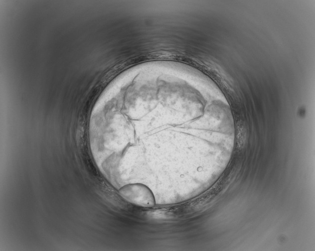 X0000116370365201001131752