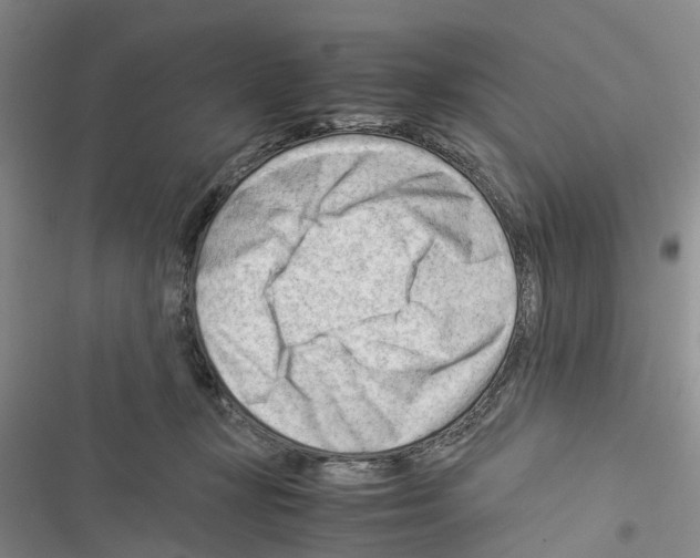 X0000116370367201001131752