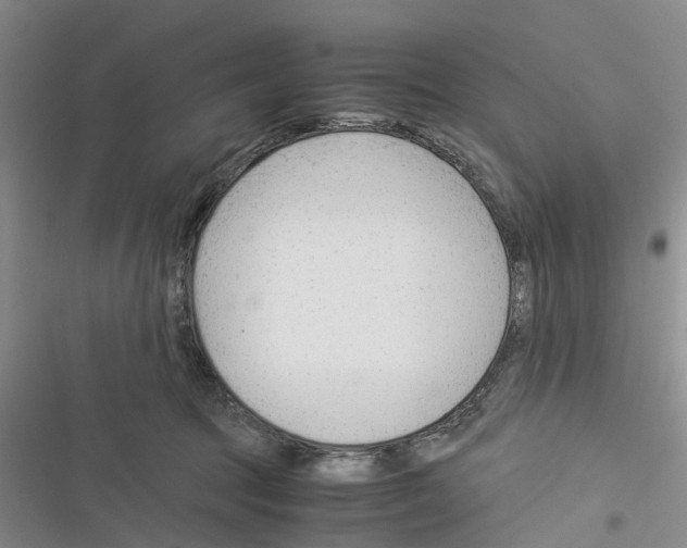 X0000116370369201001131752