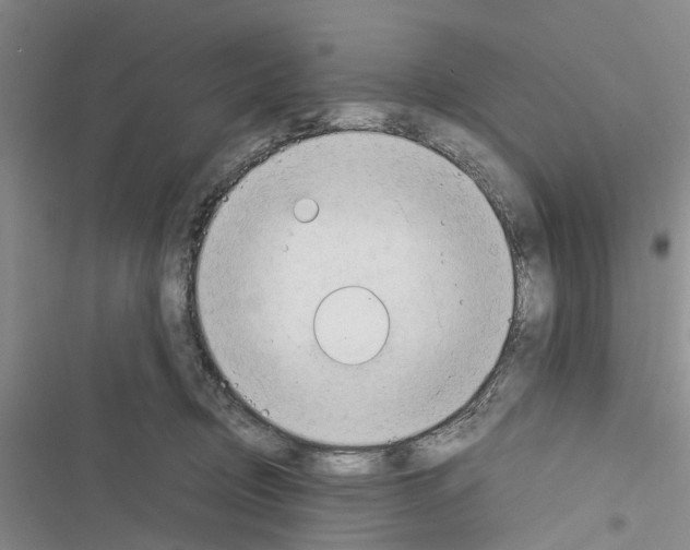 X0000116370370201001131752