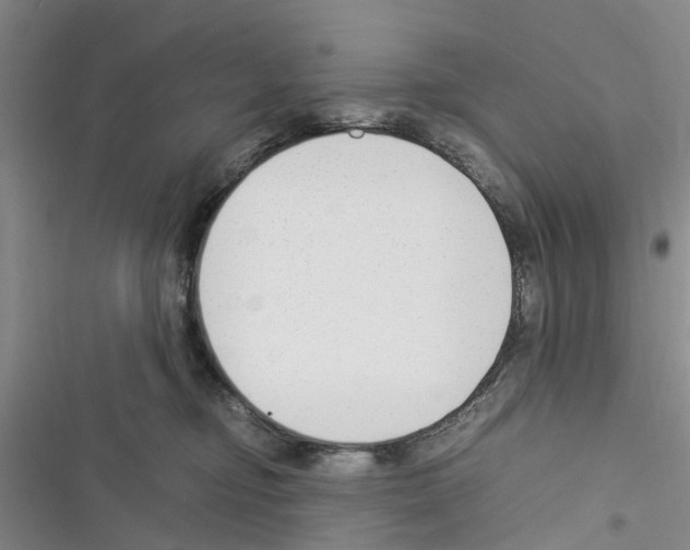 X0000116370374201001131752