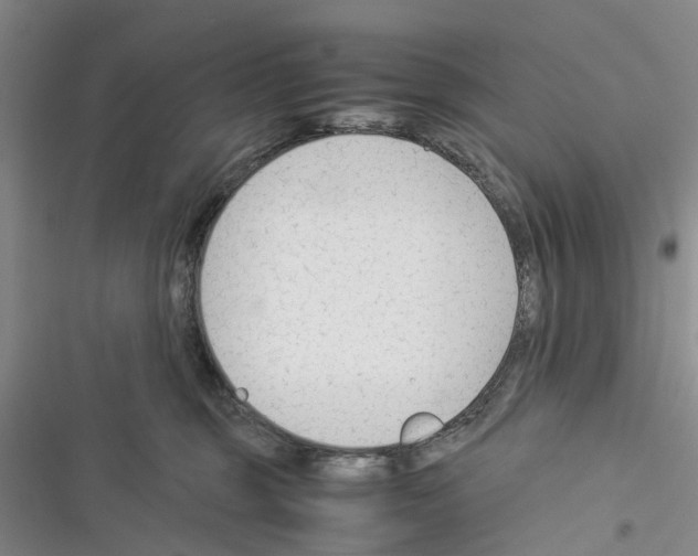 X0000116370375201001131752