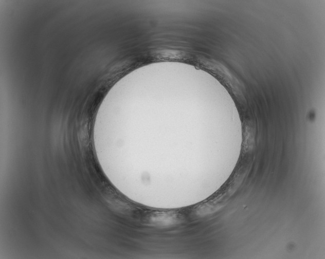 X0000116370377201001131752