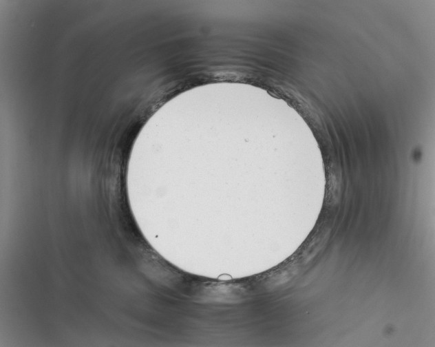 X0000116370379201001131752