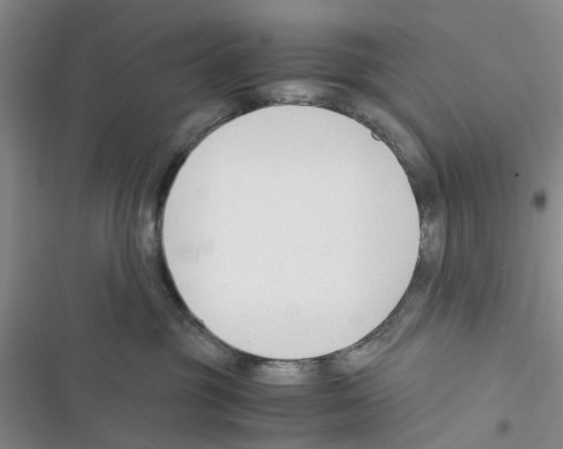 X0000116370381201001131752