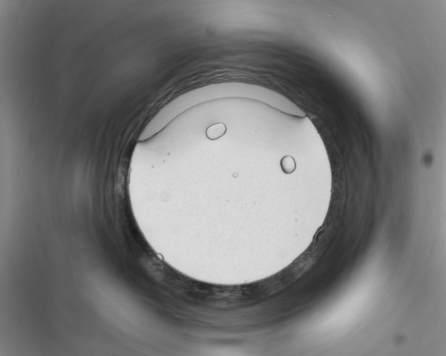 X0000116370382201001131752