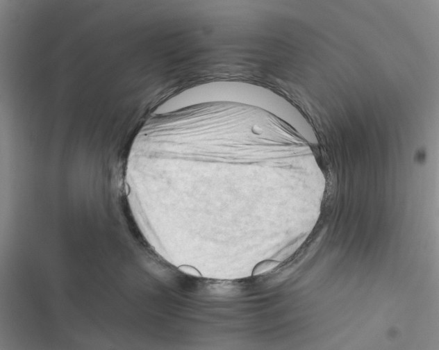 X0000116370383201001131752