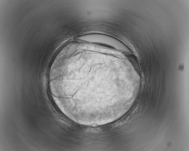 X0000116370386201001131752