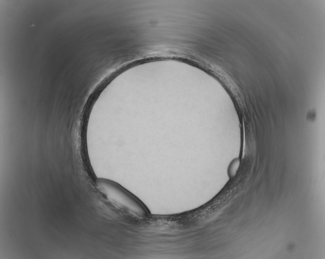 X0000116370387201001131752