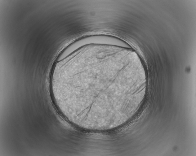 X0000116370389201001131752