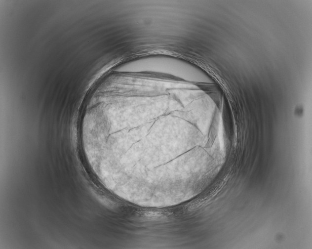 X0000116370390201001131752