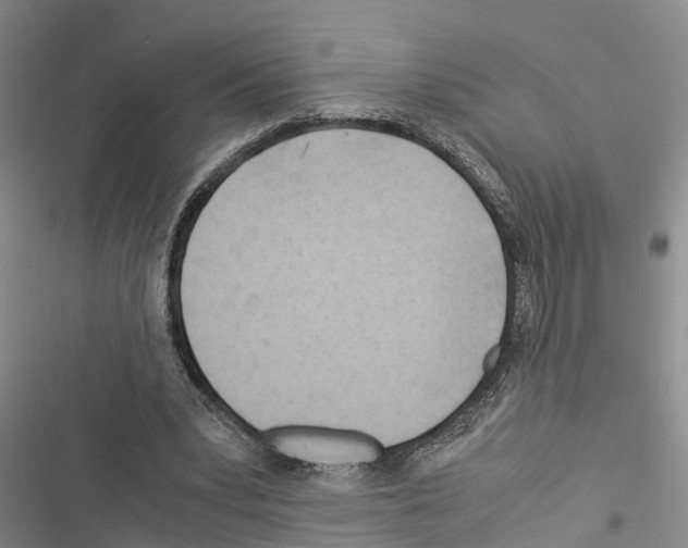 X0000116370391201001131752