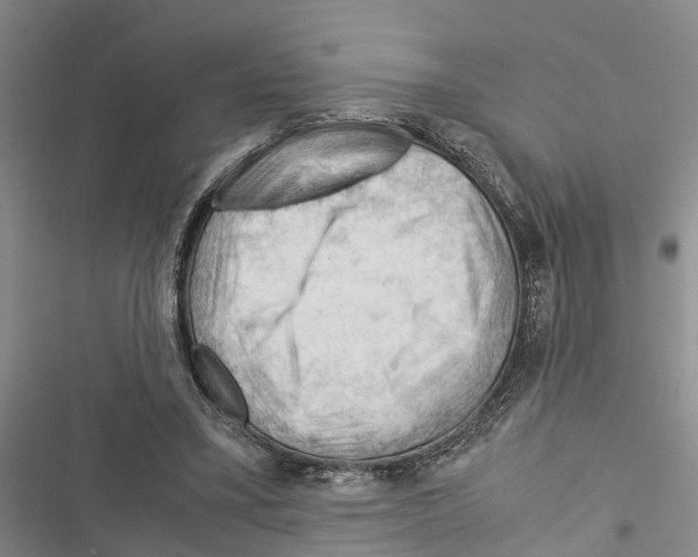 X0000116370395201001131752