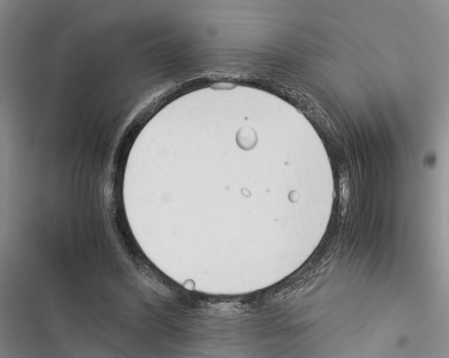 X0000116370396201001131752