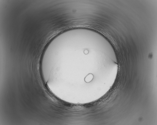 X0000116370397201001131752