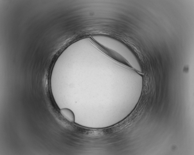 X0000116370398201001131752