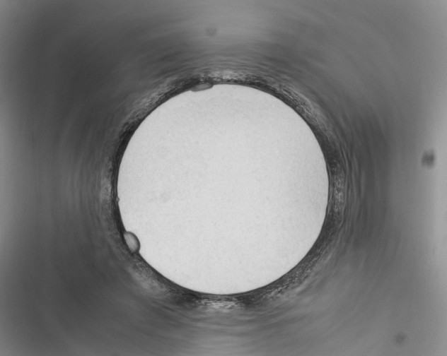 X0000116370401201001131752