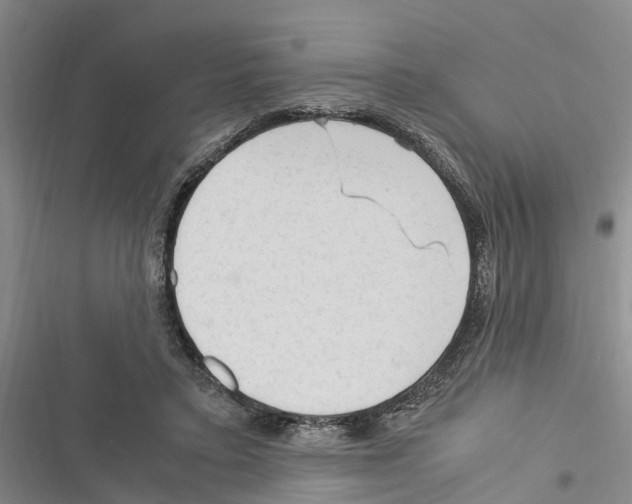 X0000116370403201001131752