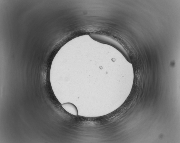 X0000116370404201001131752