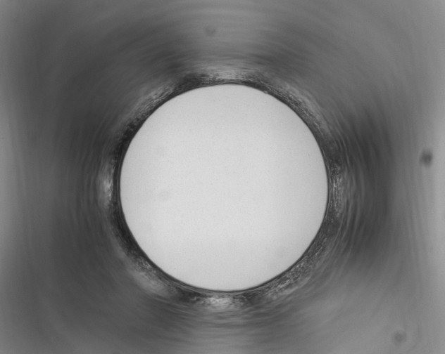 X0000116370406201001131752