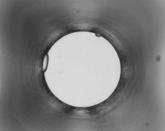 X0000116370407201001131752