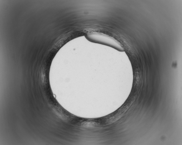 X0000116370408201001131752