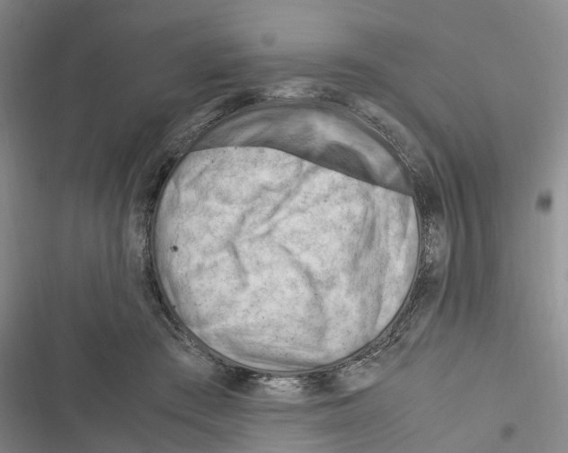 X0000116370409201001131752