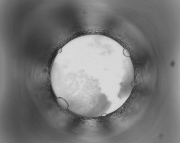 X0000116370411201001131752