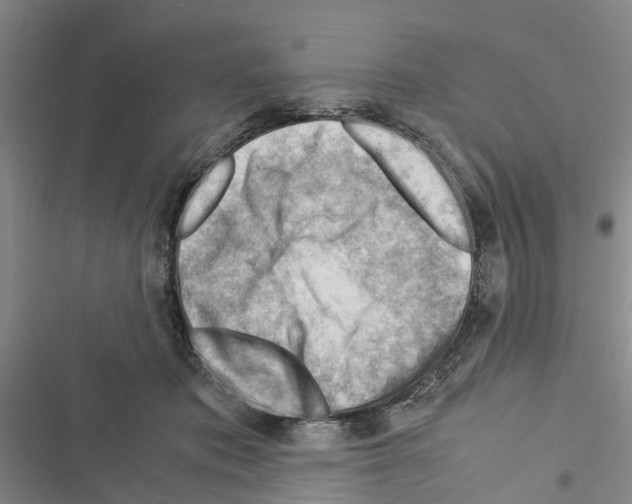 X0000116370413201001131751