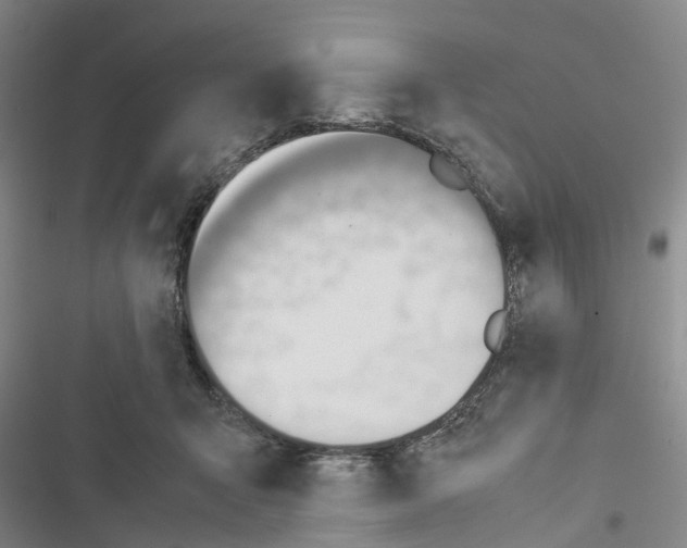 X0000116370415201001131751