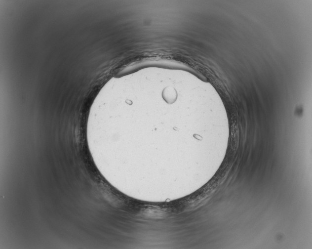 X0000116370416201001131751