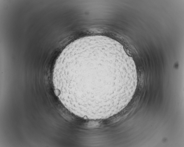 X0000116370418201001131751