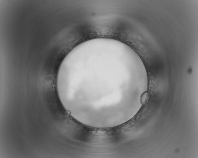 X0000116370419201001131751