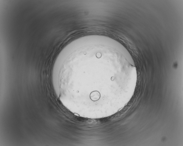 X0000116370421201001131751