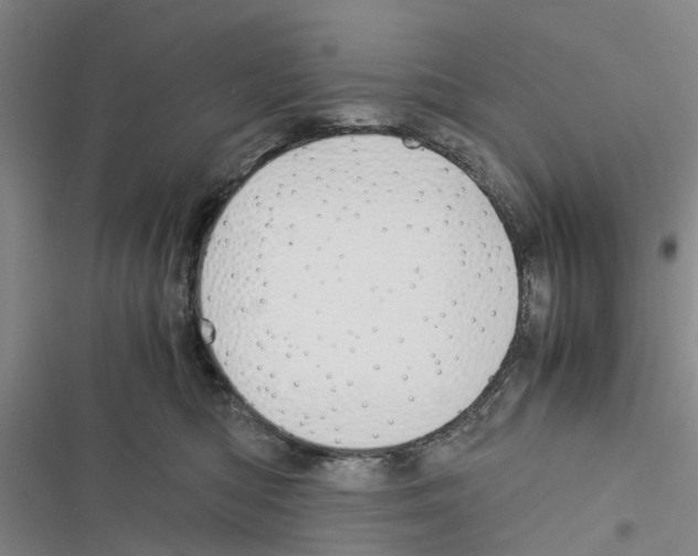 X0000116370422201001131751